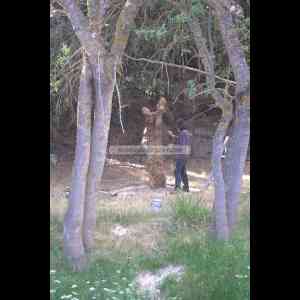 INSTALACIÓN ESCULTORICA PARAISUS IMAGINARIS 4 EL ÁRBOL TOTEMICO DE ORO