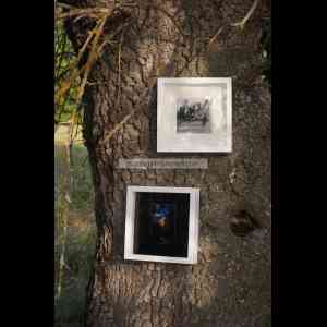 INSTALACIÓN 2 FOTOGRÁFICA COLECCIÓN DE 15  DIFERENTES AUTORES ASOCIACIÓN  FOTOGRAFICA DE SEGOVIA AFS. CAPTADORES DE IMÁGENES