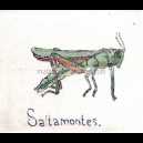 SALTAMONTES