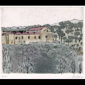 MUSEO PROVINCIAL