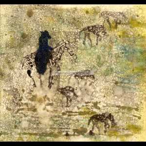 66. RUTAS A CABALLO EN LA NATURALEZA I