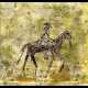 67. RUTAS A CABALLO EN LA NATURALEZA